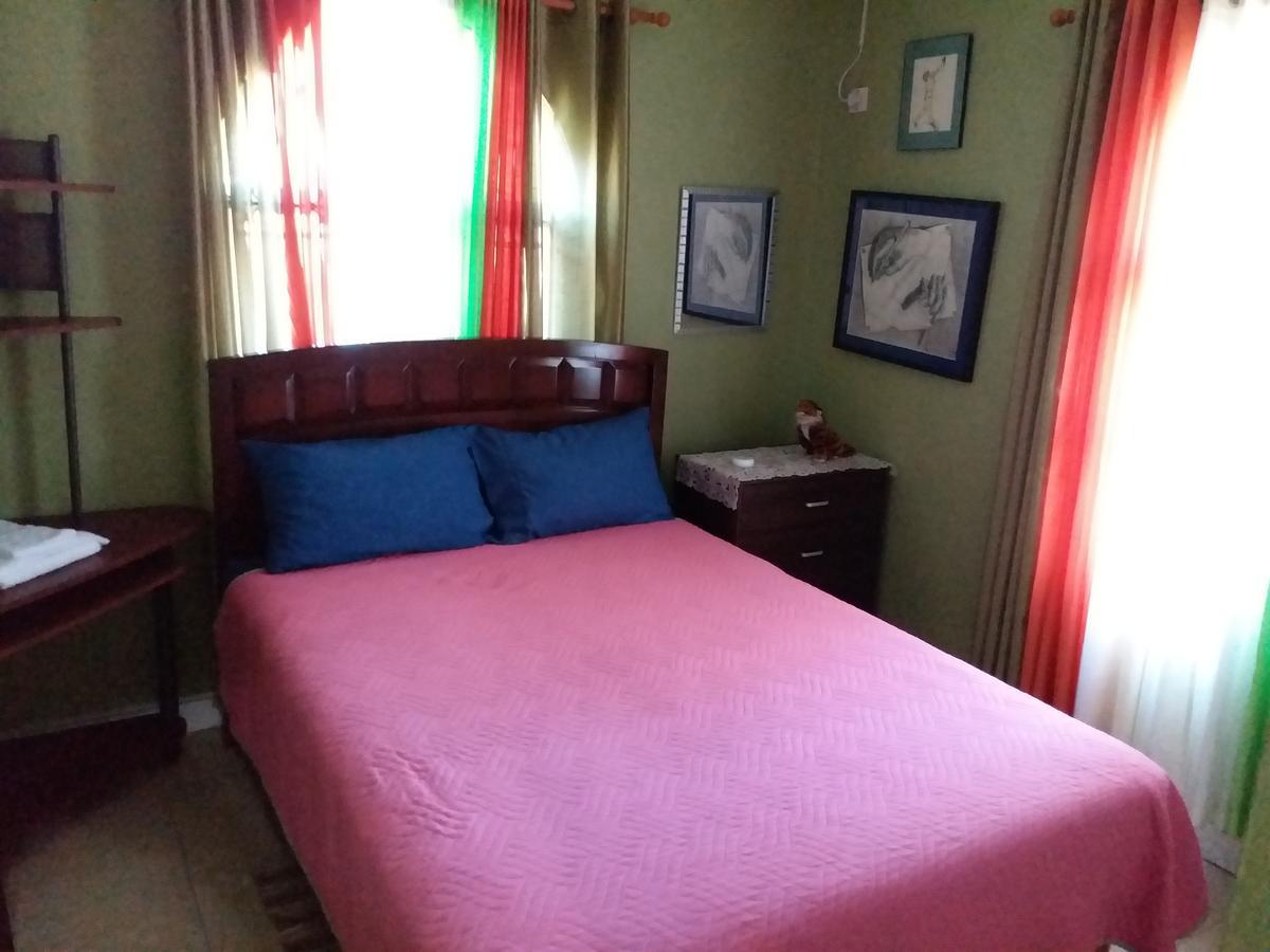 Cozy Apartment 3 كينغستون المظهر الخارجي الصورة